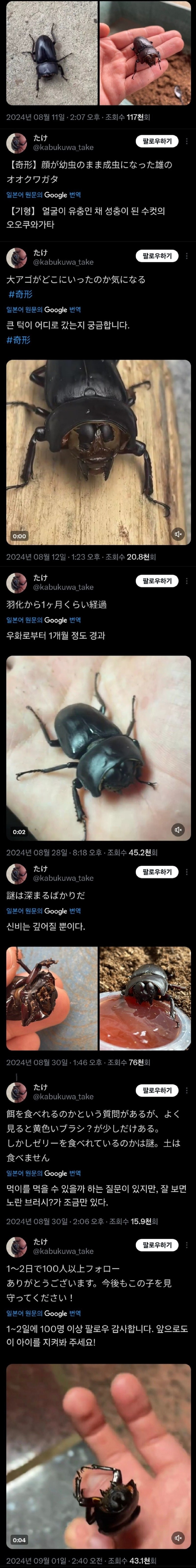 17497764144761.jpg