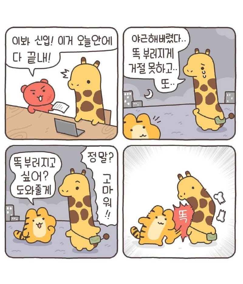 17497764409057.jpg