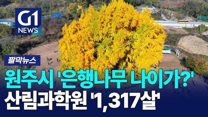 17498628224612.jpg