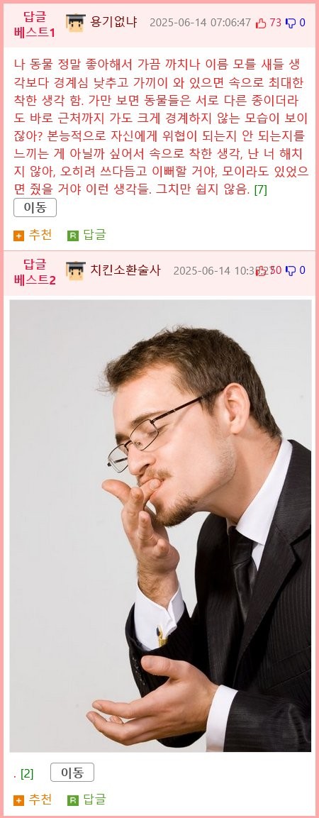 17499492208131.png