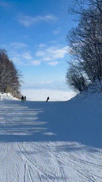 17499924409495.gif