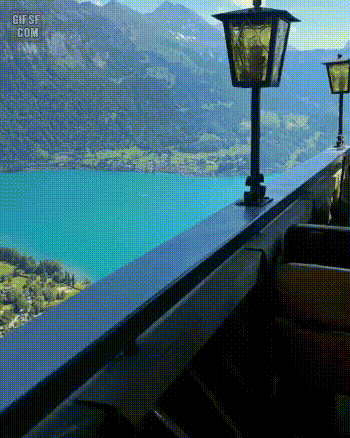 17499924425673.gif