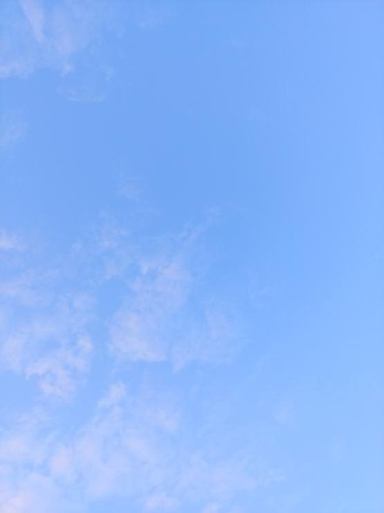 17500356240397.jpg