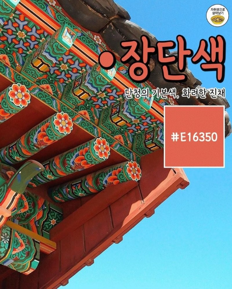 17500356324237.jpg