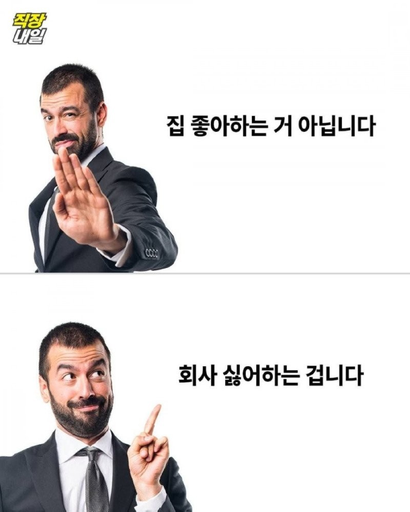 17501220448801.jpg