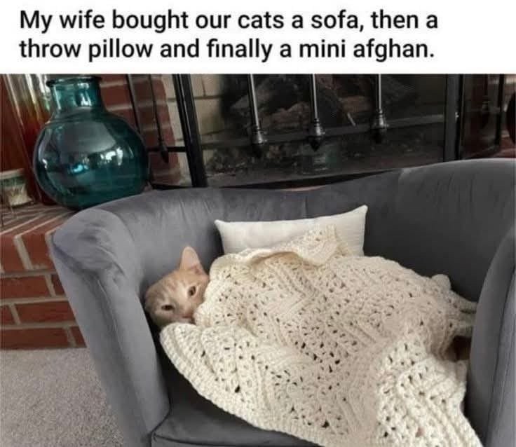17501220550948.jpg