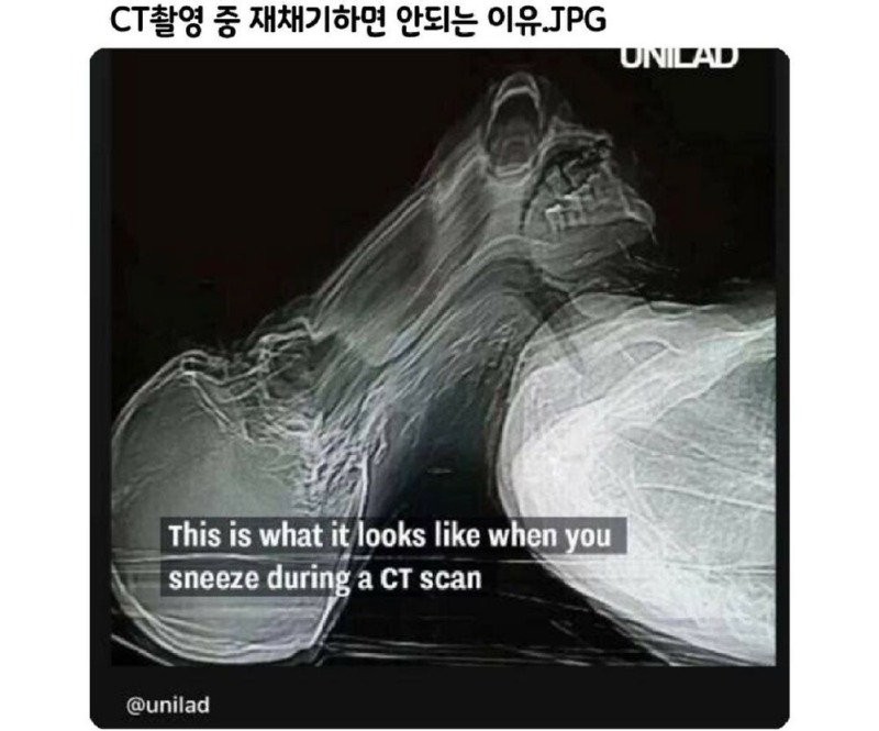 17502948338187.jpg