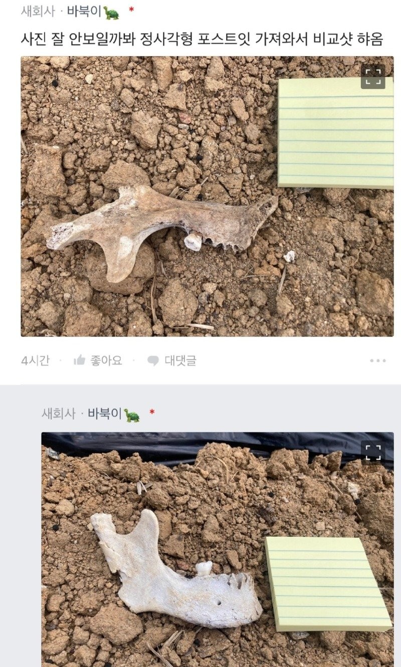 17502948423137.jpg