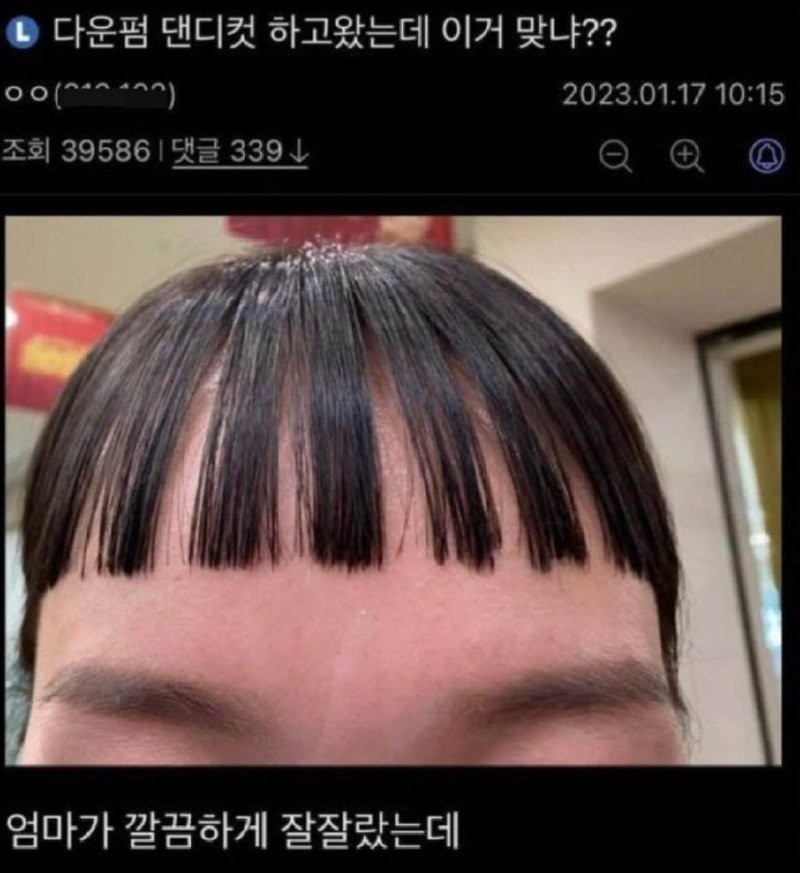 1750381216325.jpg