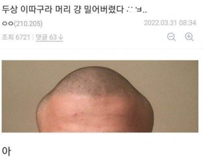 17503812198553.jpg