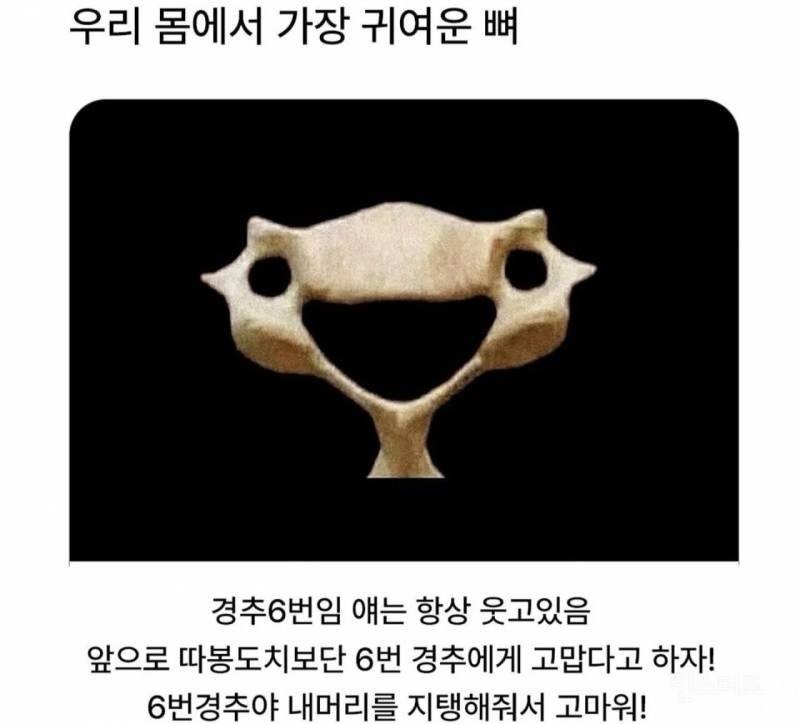 17504244320767.jpg