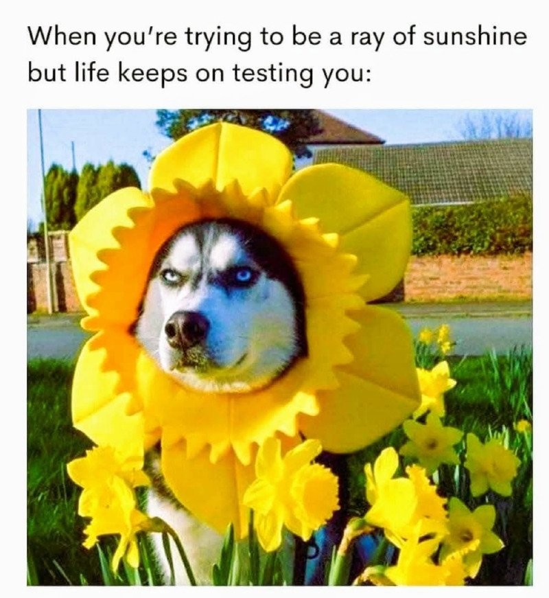 17504244495766.jpg