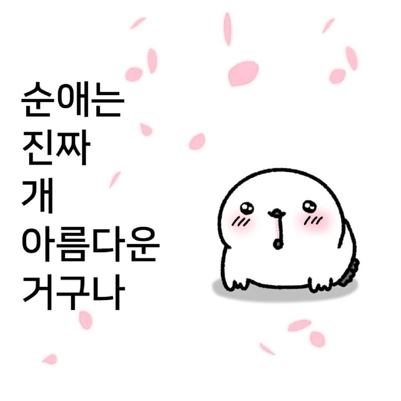17505108411351.jpg