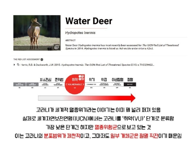 17505540379419.jpg