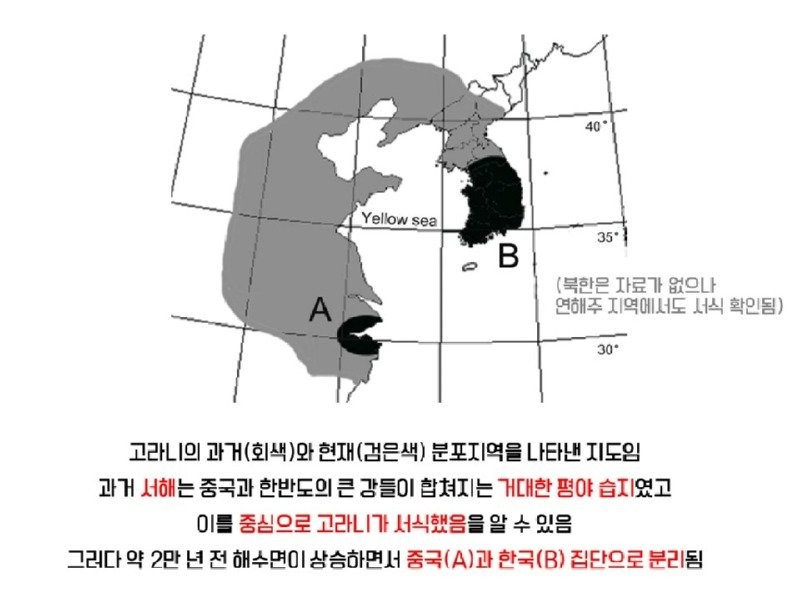 17505540470749.jpg