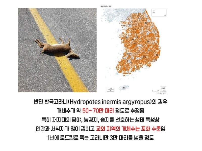 17505540478553.jpg