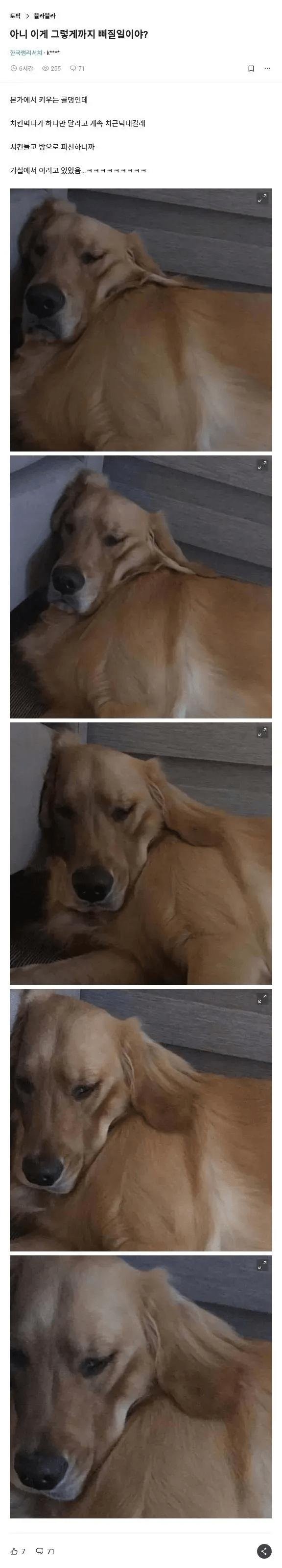 17507376279663.jpg