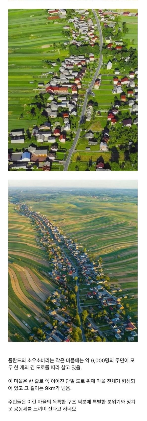 17507376297364.jpg