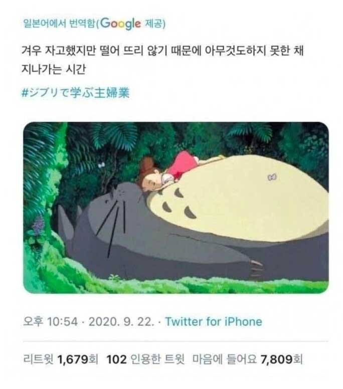 17508132201623.jpg
