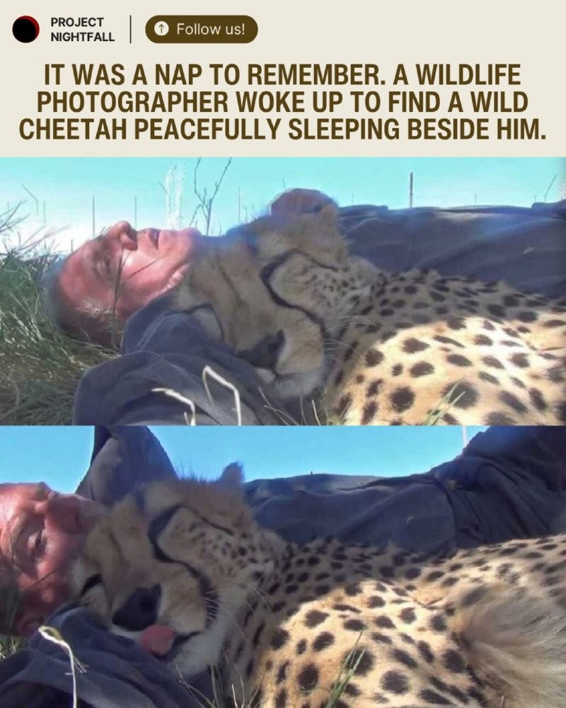17508132290654.jpg
