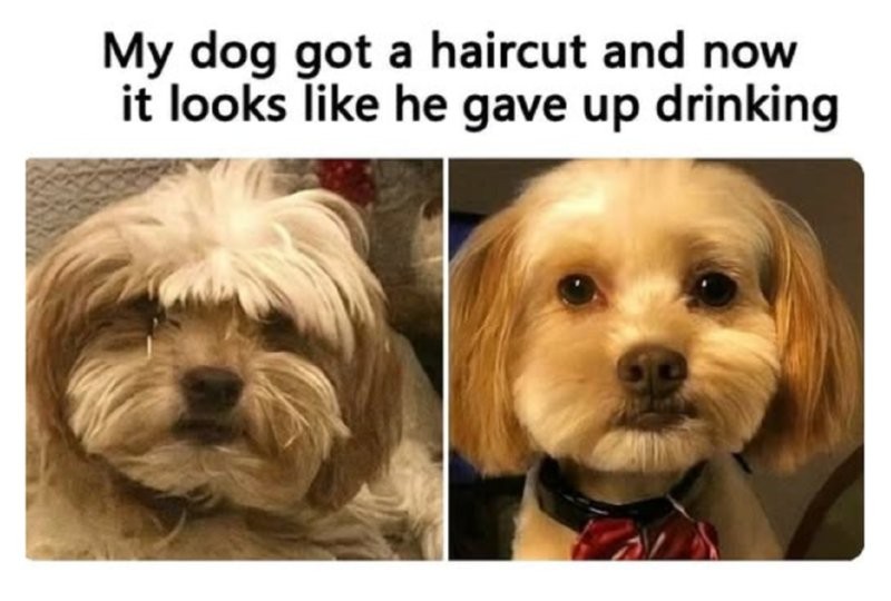 17509428352562.png