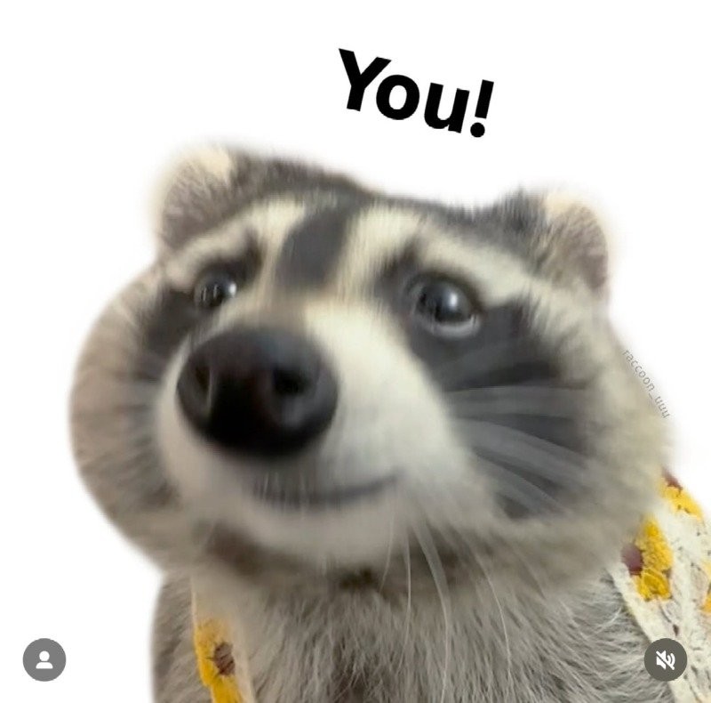 17509860439272.jpg