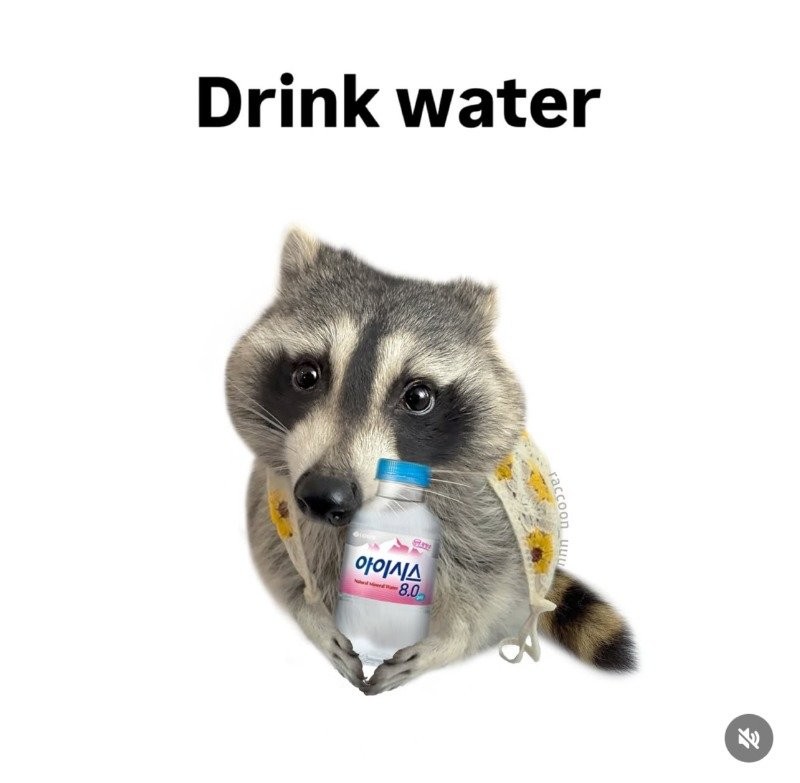 17509860444447.jpg