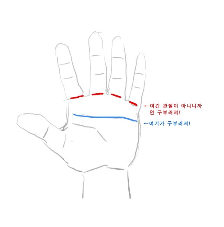 17512020569033.png