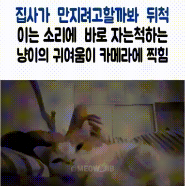 17513316177526.gif