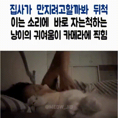 17513316182543.gif