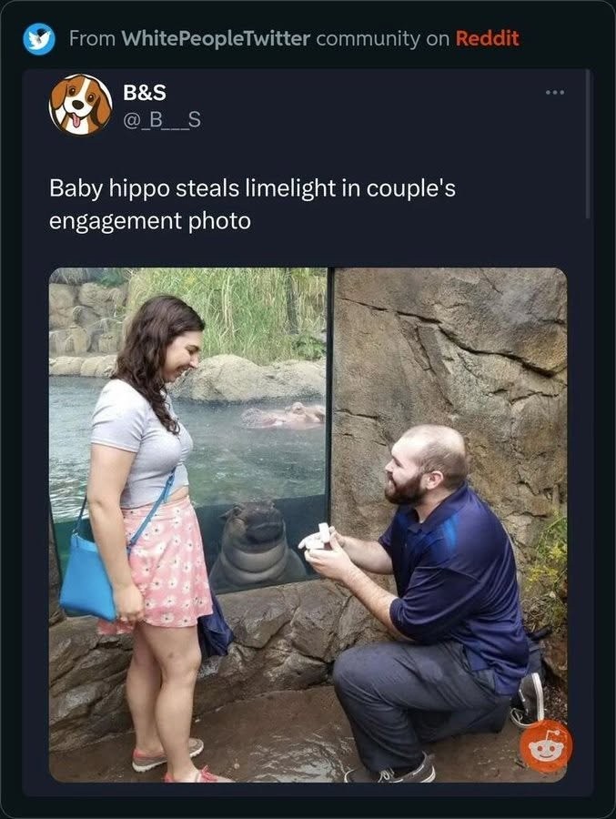 17513748420206.jpg