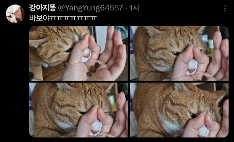 17515476398213.jpg