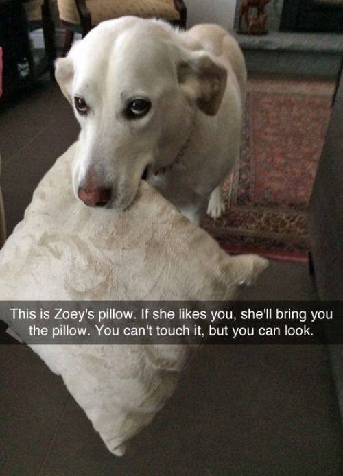 17516340496708.jpg