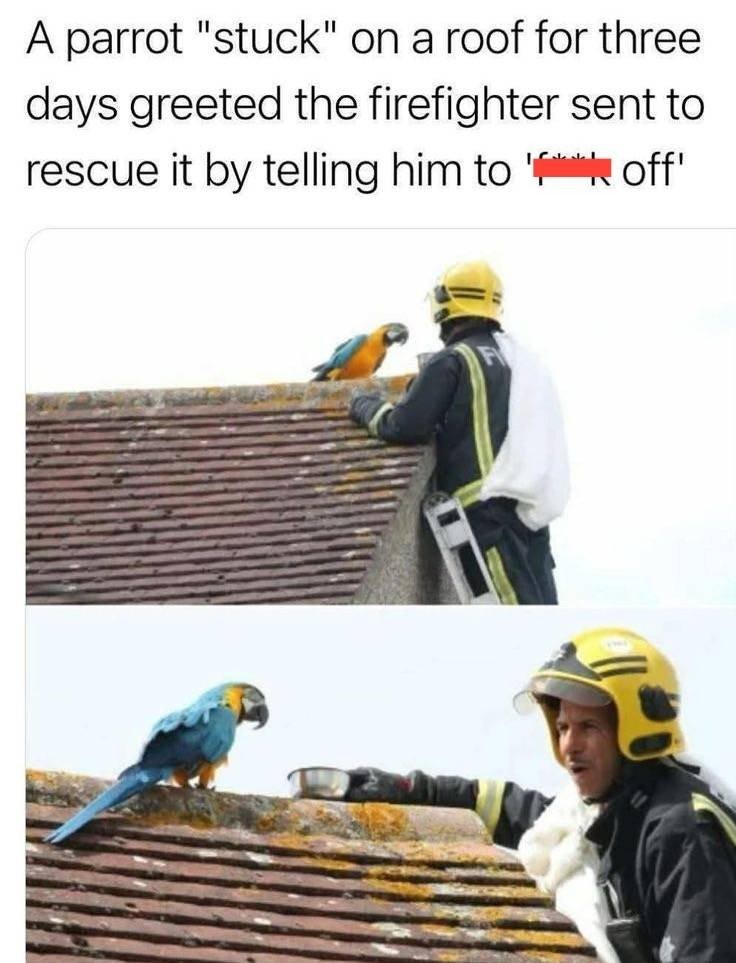17516772148331.jpg