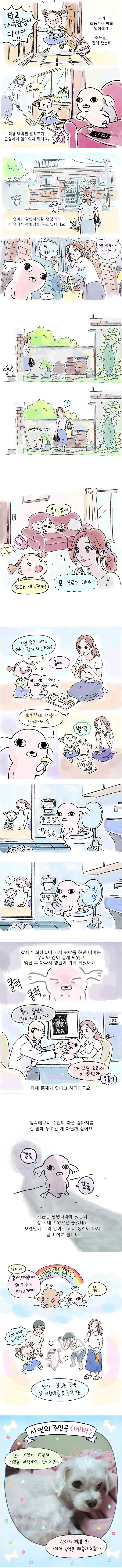 17517204895582.png