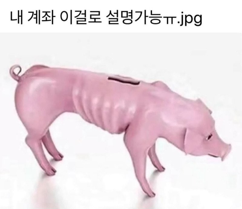 1751806833358.jpg