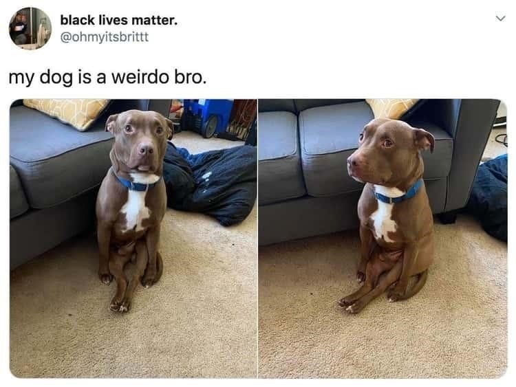 17518068664879.jpg