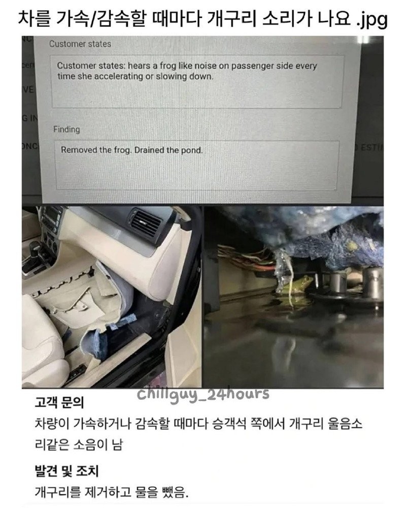 17519364179507.jpg