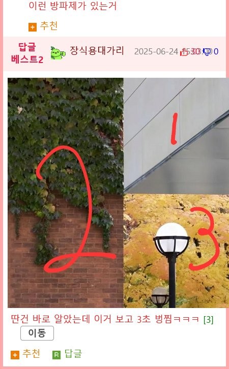 17519364267181.png