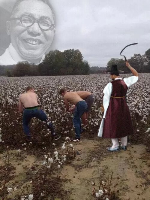 1752195664477.jpg