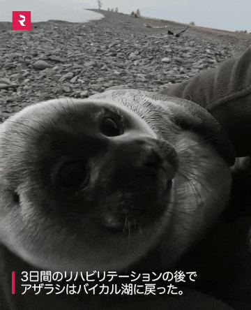 1752498033132.gif