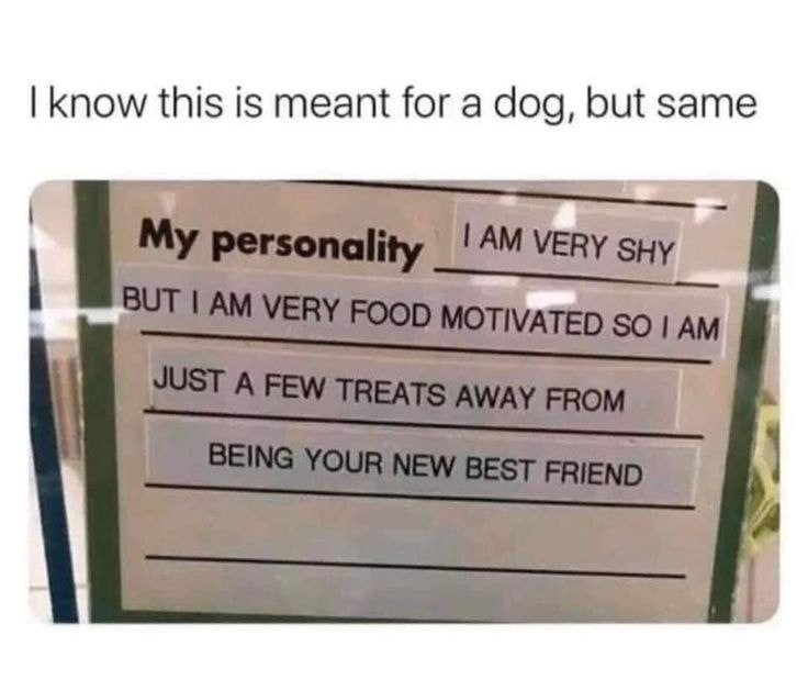 17524980584494.jpg