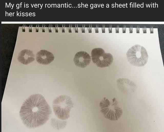 17526276634968.jpg