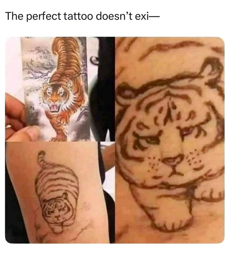 17531028411058.jpg