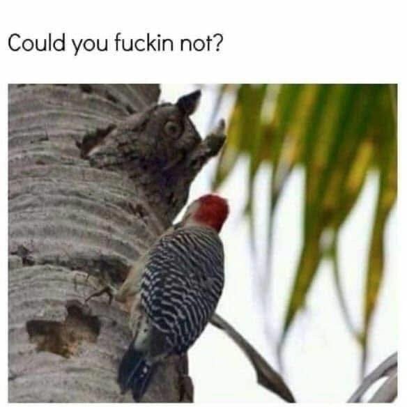 17531460481279.jpg