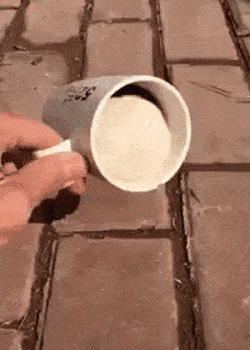 17531568588473.gif