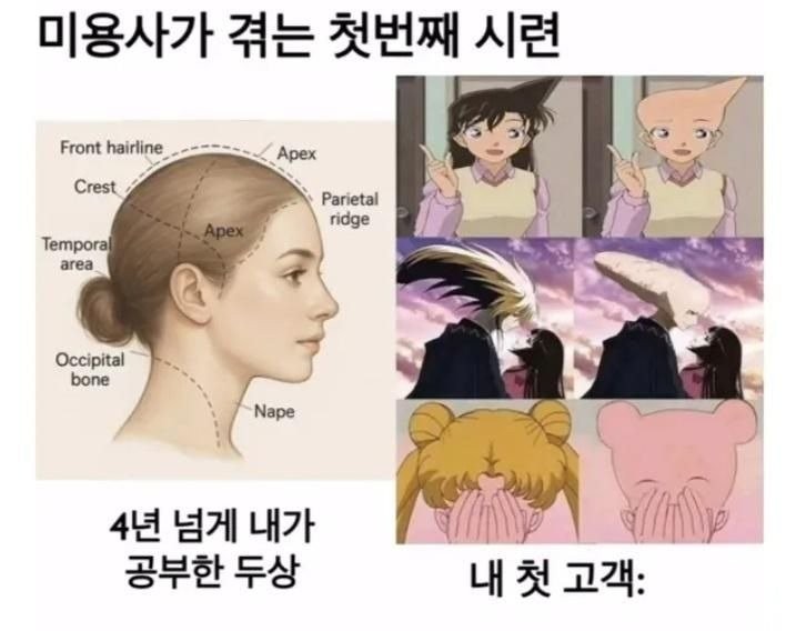 17532324442603.jpg