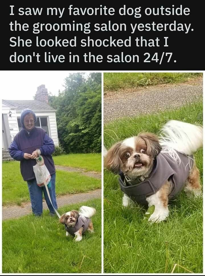 17532756662506.jpg