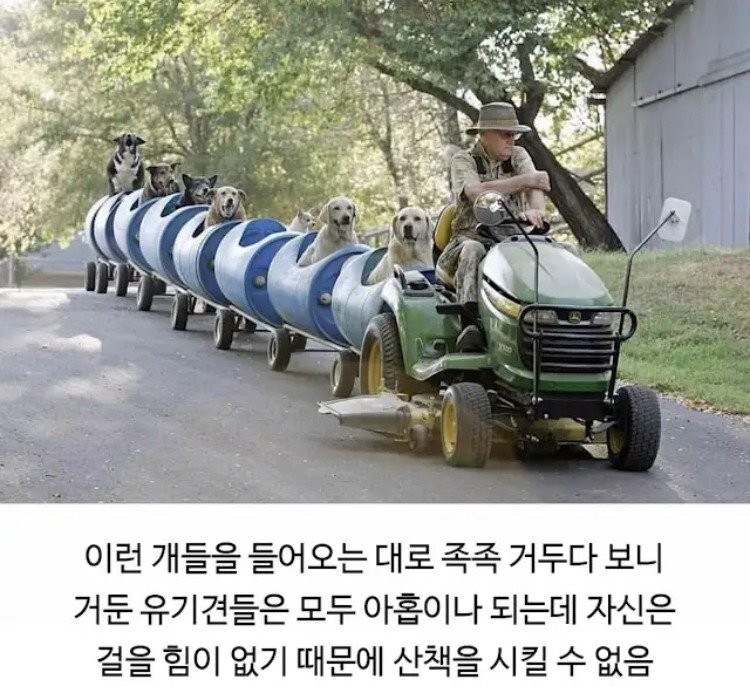 1753405269537.jpg