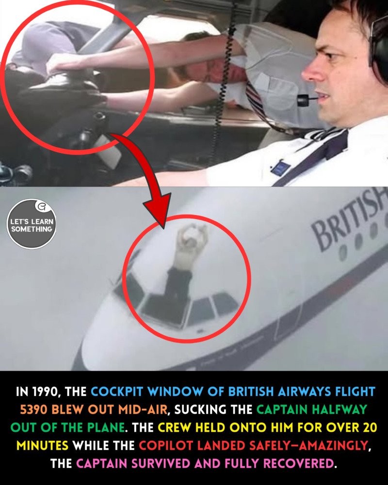 17536212391699.jpg